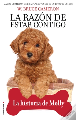 Capa do artigo La Razon De Estar Contigo La Historia De