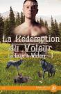 La Rédemption Du Voleur - Preview