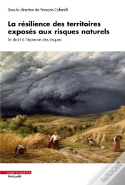Capa do artigo La Résilience Des Territoires Exposés Aux Risques Naturels