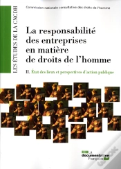 Capa do artigo La Responsabilité Des Entreprises En Matière De Droits De L