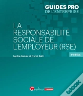 La Responsabilité Sociale De L'Employeur (Rse) (2e Édition)