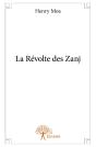 La Révolte Des Zanj - Preview