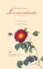 La Rosa Inclinada - Preview