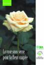 La Rose Sous Serre Pour La Fleur Coupée - Preview