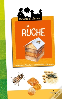 Capa do artigo La Ruche