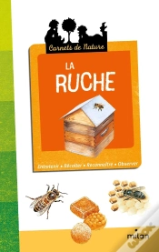 Capa do artigo La Ruche