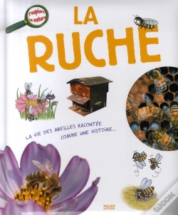 Capa do artigo La Ruche