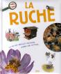La Ruche - Preview
