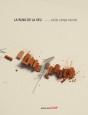 La Runa De La Veu - Preview