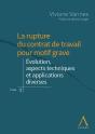 La Rupture Du Contrat De Travail Pour Motif Grave Tome 1 ; Évolution, Aspects Techniques Et Applications - Preview