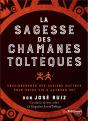 La Sagesse Des Chamans - Preview