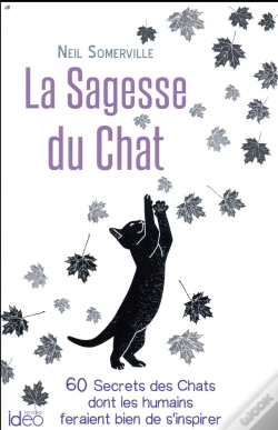 Capa do artigo La Sagesse Des Chats