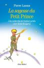 La Sagesse Du Petit Prince ; À La Recherche De L'Enfant Perdu Avec Saint-Exupéry - Preview