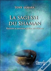 Capa do artigo La Sagesse Du Shaman ; Retrouver Sa Connexion Perdue Avec L