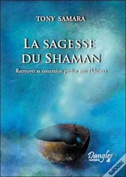 Capa do artigo La Sagesse Du Shaman ; Retrouver Sa Connexion Perdue Avec L'Univers