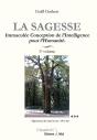 La Sagesse T.3 ; Immaculée Conception De L'Intelligence Pour L'Humanité - Preview