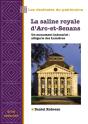 La Saline Royale D'Arc-Et-Senans : Un Monument Industriel : Allégorie Des Lumières - Preview