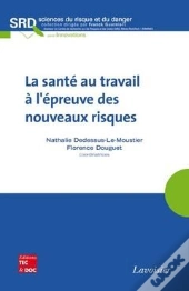 La Sante Au Travail A L'Epreuve Des Nouveaux Risques Collection Sciences Du Risque Et Du Danger