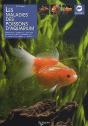 La Santé Des Poissons - Preview