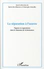 La Séparation À L'Oeuvre ; Figures Et Expressions Dans Le Domaine De La Littérature - Preview
