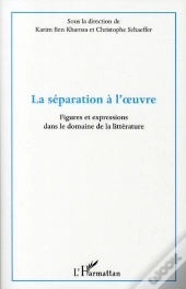 La Séparation À L'Oeuvre ; Figures Et Expressions Dans Le Domaine De La Littérature