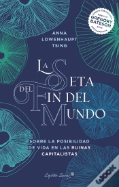 Capa do artigo La Seta Del Fin Del Mundo