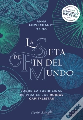 La Seta Del Fin Del Mundo