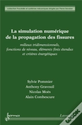 La Simulation Numérique De La Propagation Des Fissures ; Milieux Tridimensionnels, Fonctions De Niveau, Éléments Finis Étendus Et Critères Énergétique