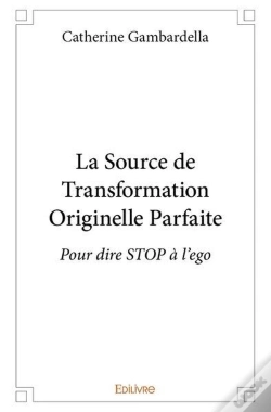 Capa do artigo La Source De Transformation Originelle Parfaite - Pour Dire Stop A L Ego