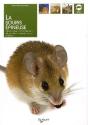 La Souris Épineuse - Preview