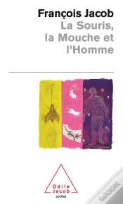 Capa do artigo La Souris, La Mouche Et L