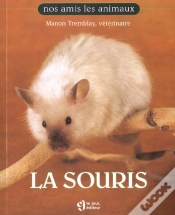 Capa do artigo La Souris