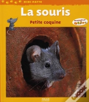 Capa do artigo La Souris, Petite Coquine