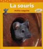La Souris, Petite Coquine - Preview