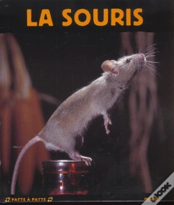 Capa do artigo La Souris