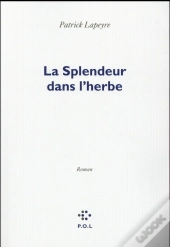 La Splendeur Dans L'Herbe
