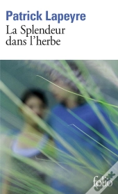 La Splendeur Dans L'Herbe
