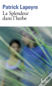 Capa do artigo La Splendeur Dans L