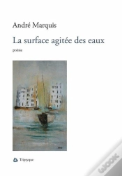 Capa do artigo La Surface Agitee Des Eaux