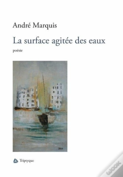 Capa do artigo La Surface Agitee Des Eaux