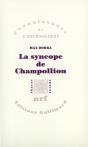 La Syncope De Champollion ; Entre Les Images Et Les Mots - Preview