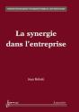 La Synergie Dans L'Entreprise - Preview