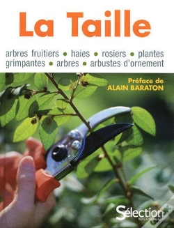 Capa do artigo La Taille