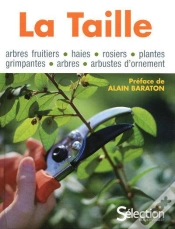 Capa do artigo La Taille
