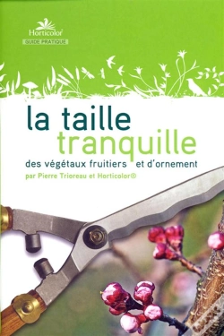 Capa do artigo La Taille Tranquille