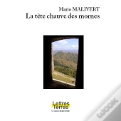 La Tete Chauve Des Mornes
