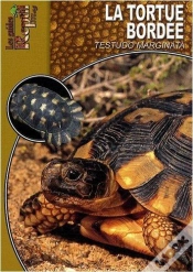 Capa do artigo La Tortue Bordée - Testudo Marginata