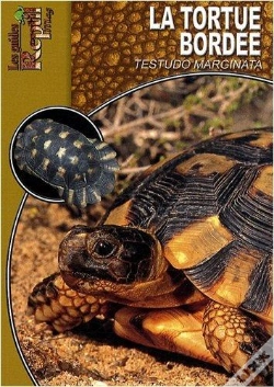 Capa do artigo La Tortue Bordée - Testudo Marginata