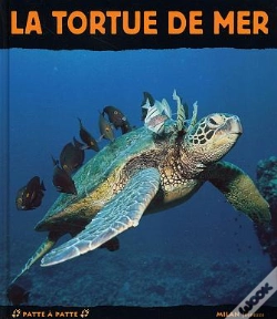 Capa do artigo La Tortue De Mer