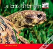 Capa do artigo La Tortue D